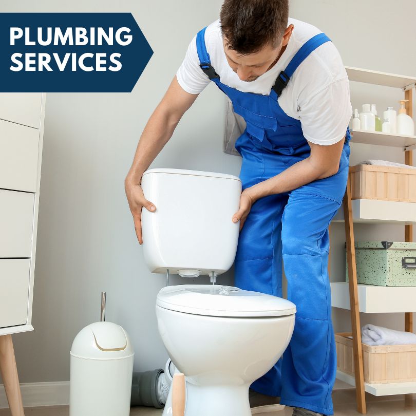 Plumbing Company in Mendota, MN